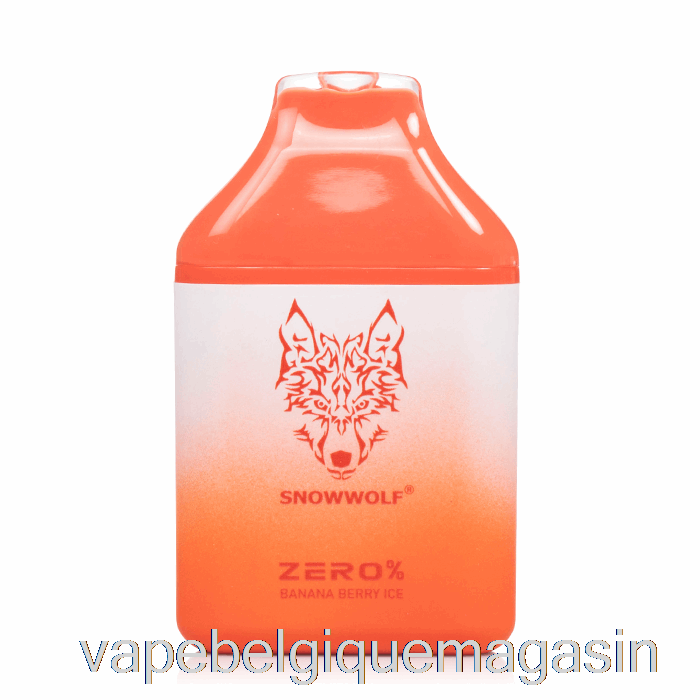Vape Belgique Snowwolf Zero 5500 0% Sans Nicotine Jetable Banane Berry Ice